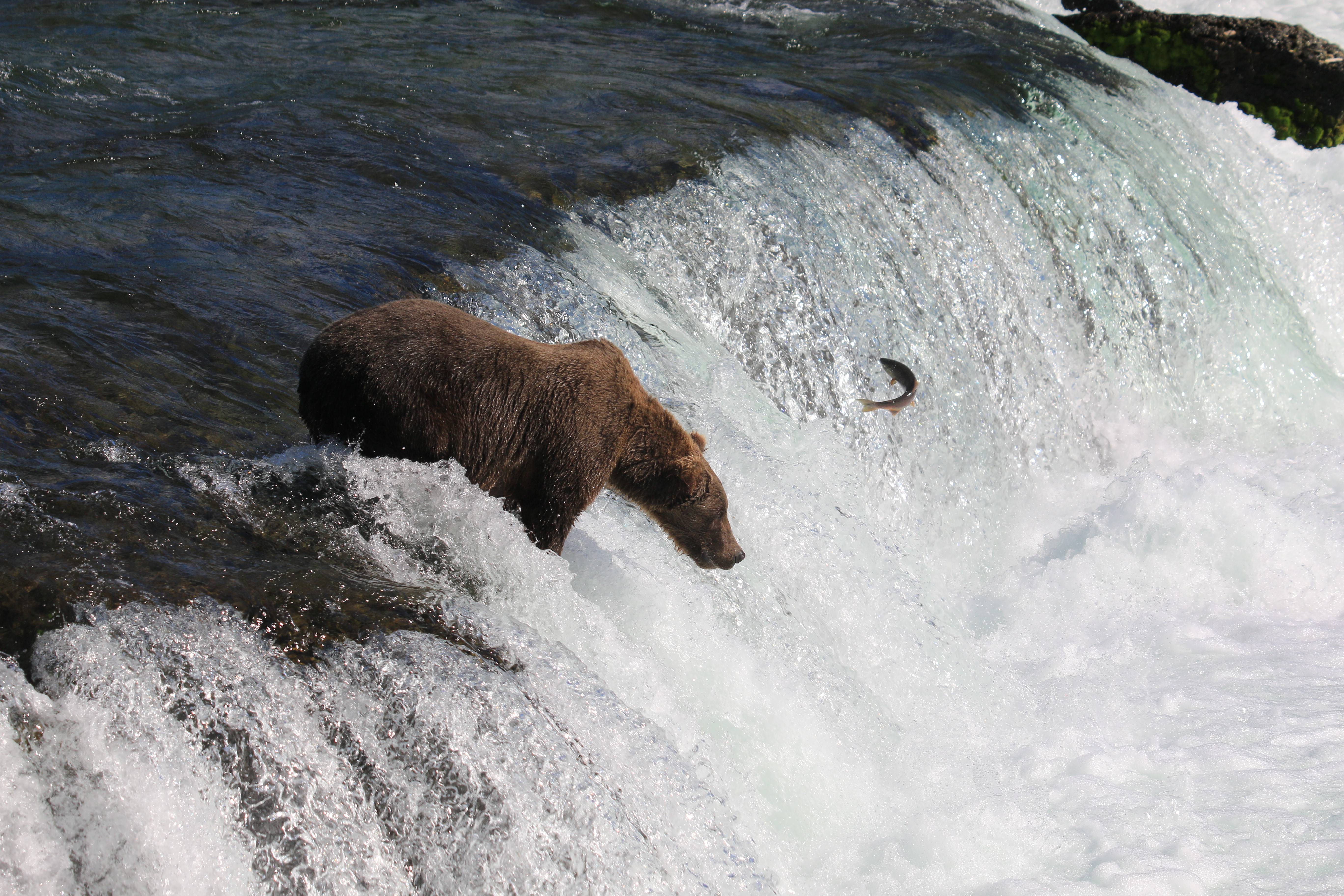 Alaska
